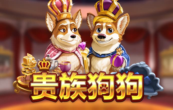中欧体育app登录入口